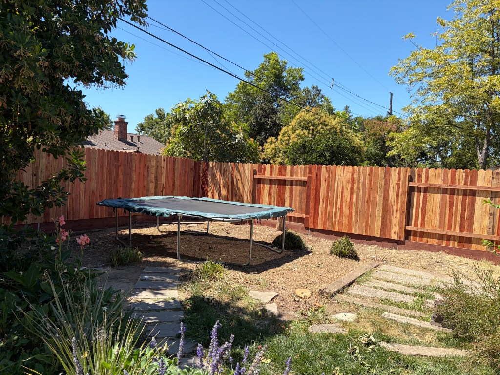 Backyard fencing project.