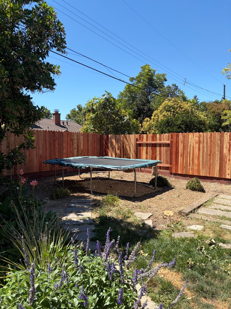 Backyard fencing project.