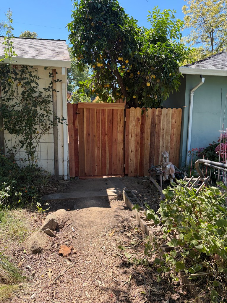 Backyard fencing project.