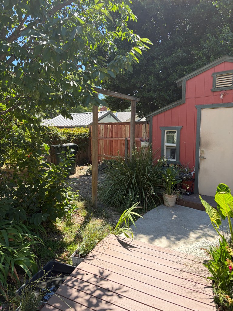 Backyard fencing project.