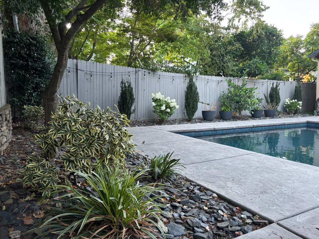 Backyard landscaping
