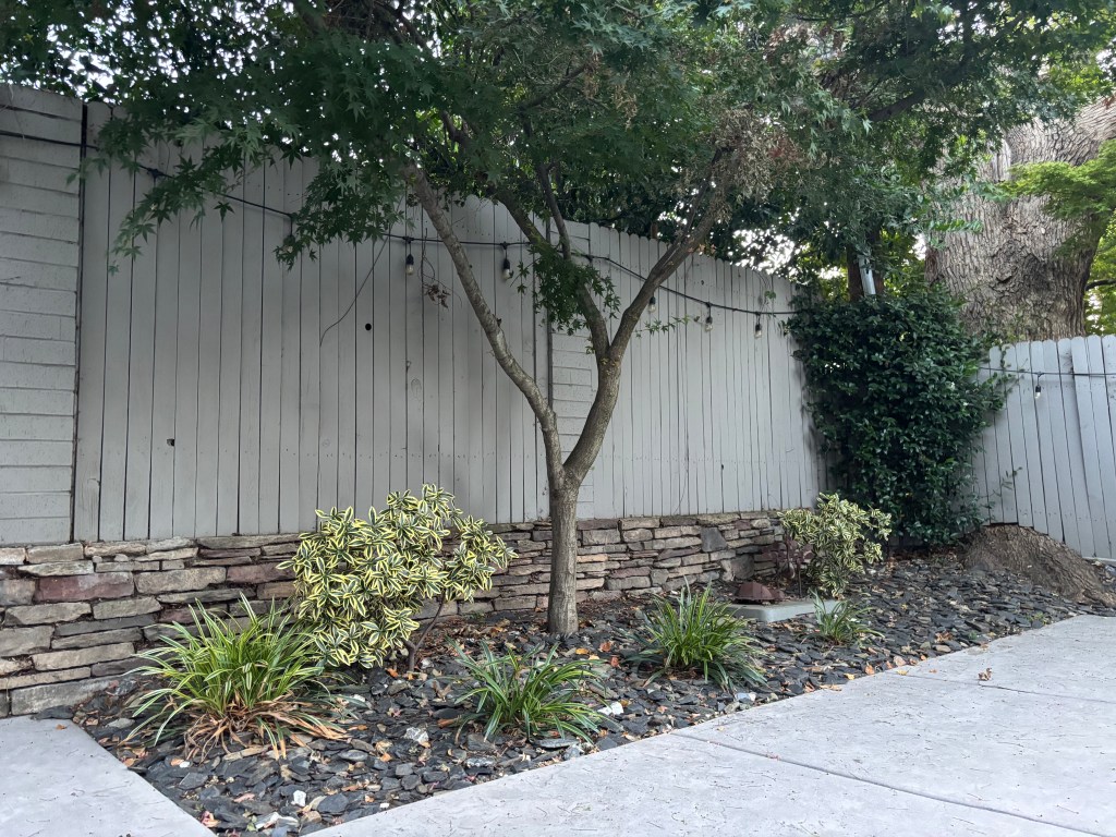 Backyard Landscaping